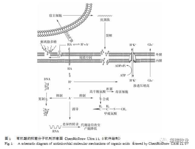 微信圖片_20210623104424.png